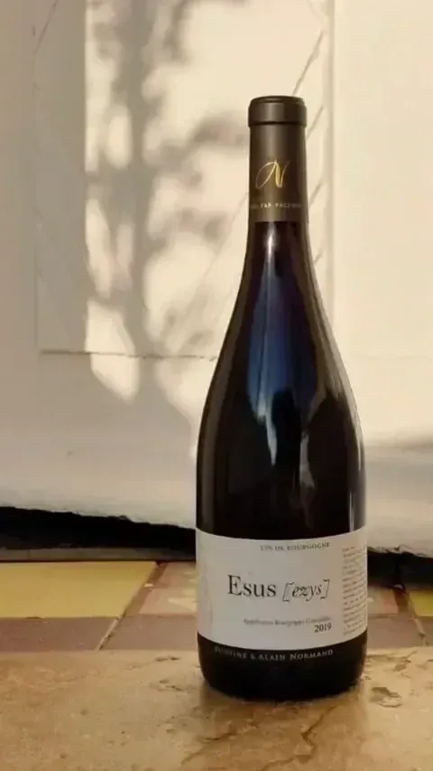 Bourgogne Rouge, Cuvée Esus 2020, Domaine Normand
