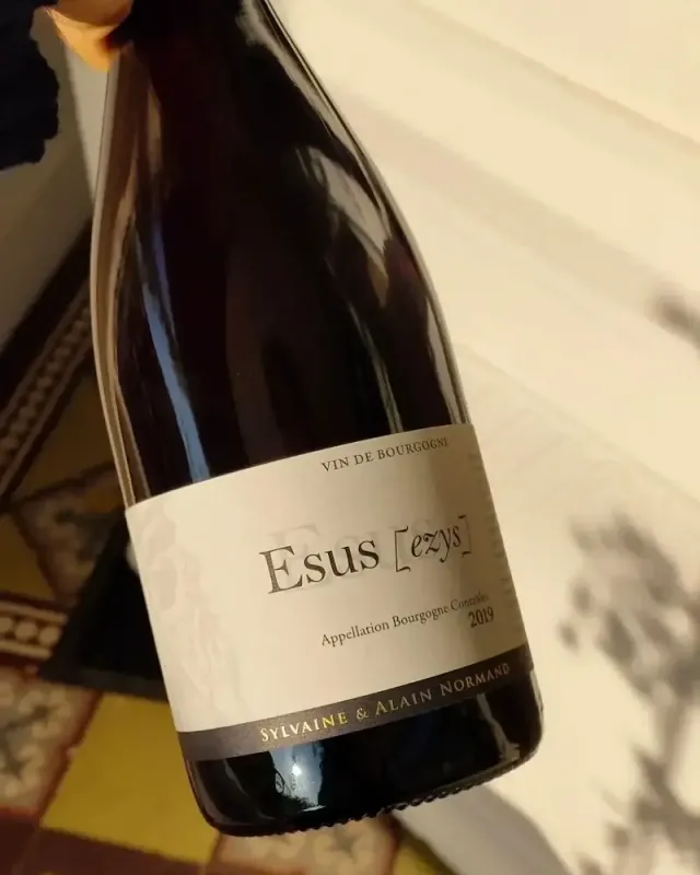 Bourgogne Rouge, Cuvée Esus 2020, Domaine Normand