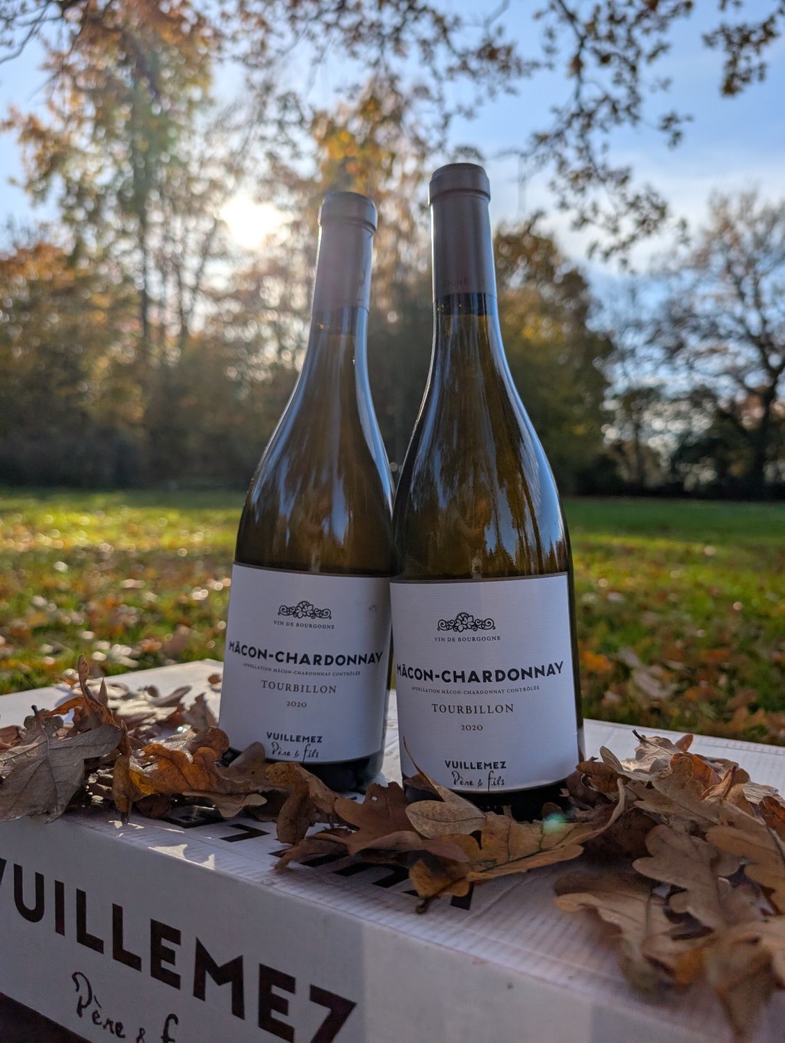 Mâcon-Chardonnay, Tourbillion 2020, Domaine Vuillemez