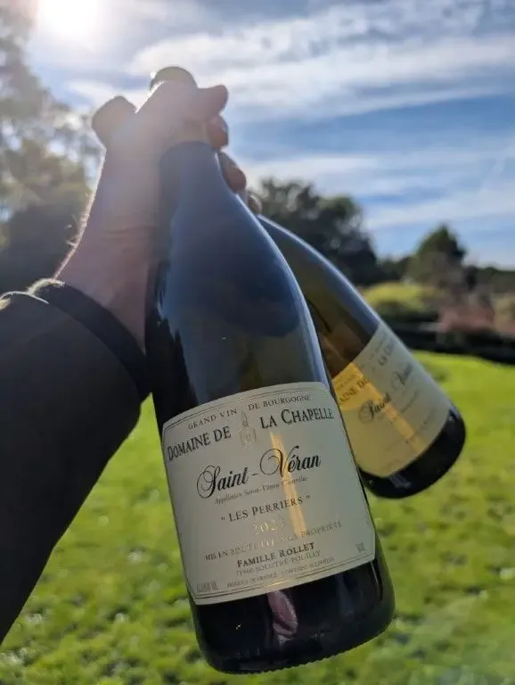 Saint-Véran, Les Perriers 2024, Domaine de la Chapelle