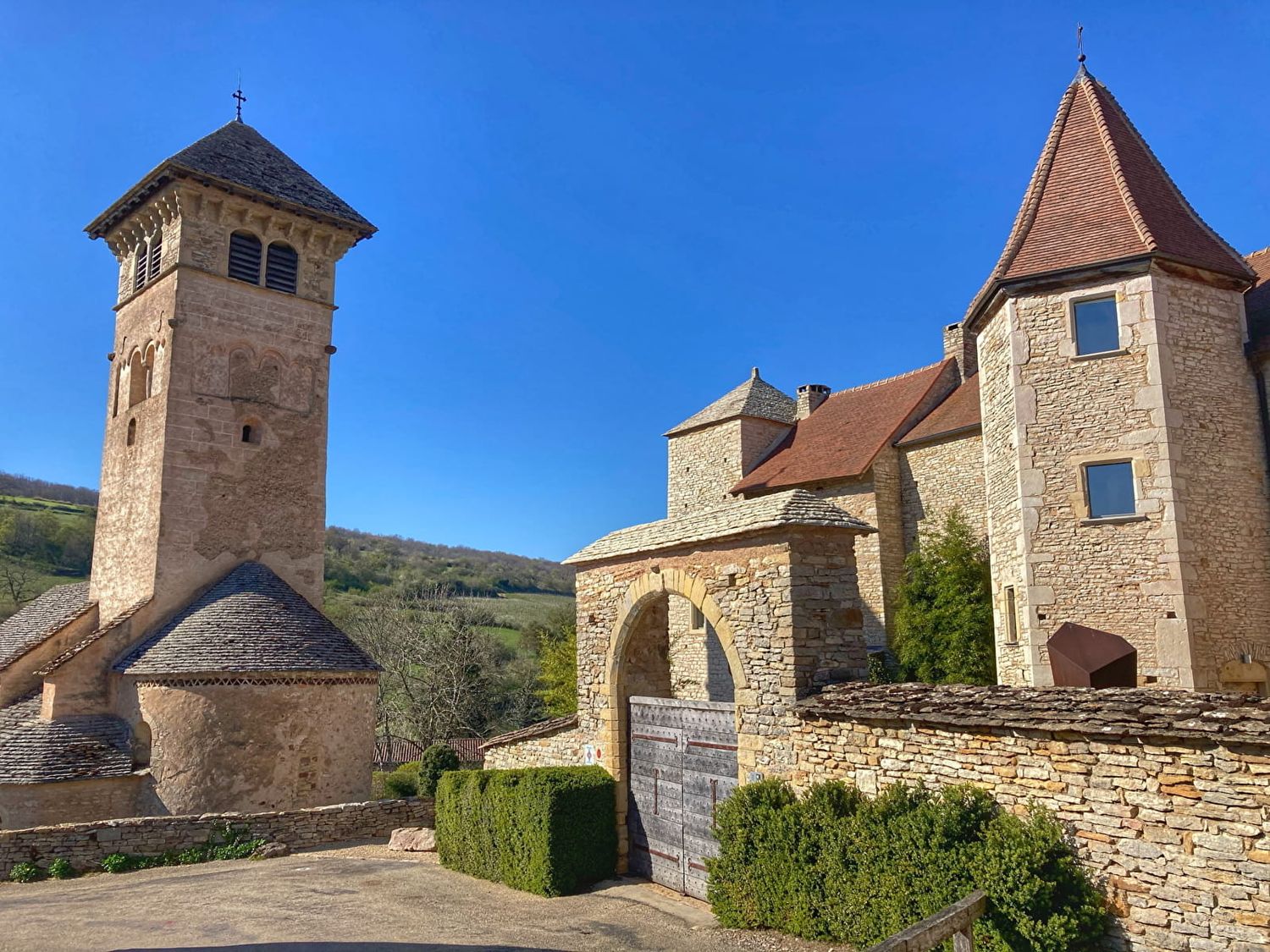 2023 Bourgogne Aligoté, Domaine du Grison