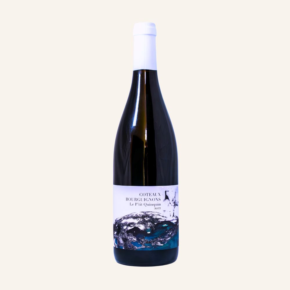 Coteaux Bourguignons Gamay 2022, Domaine Didon