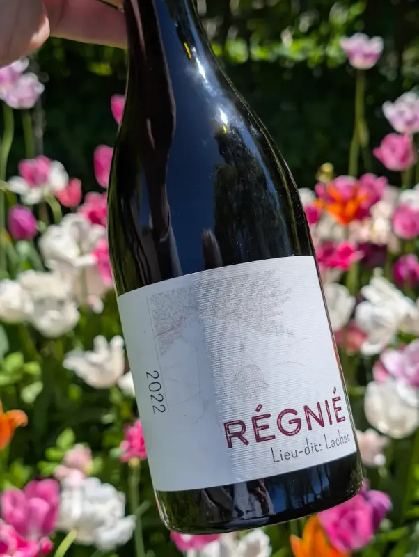 Regnie 2022, Domaine Lachat