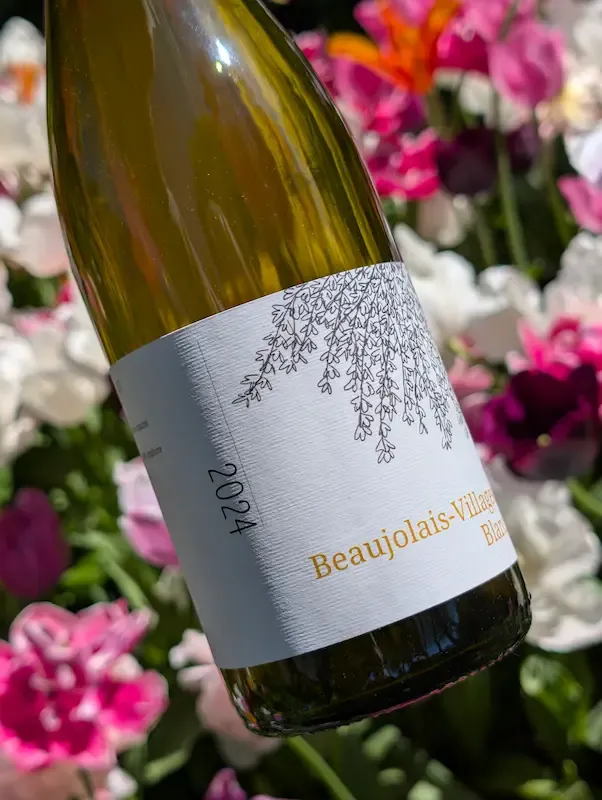 Beaujolais Villages Blanc 2024, Domaine Lachat