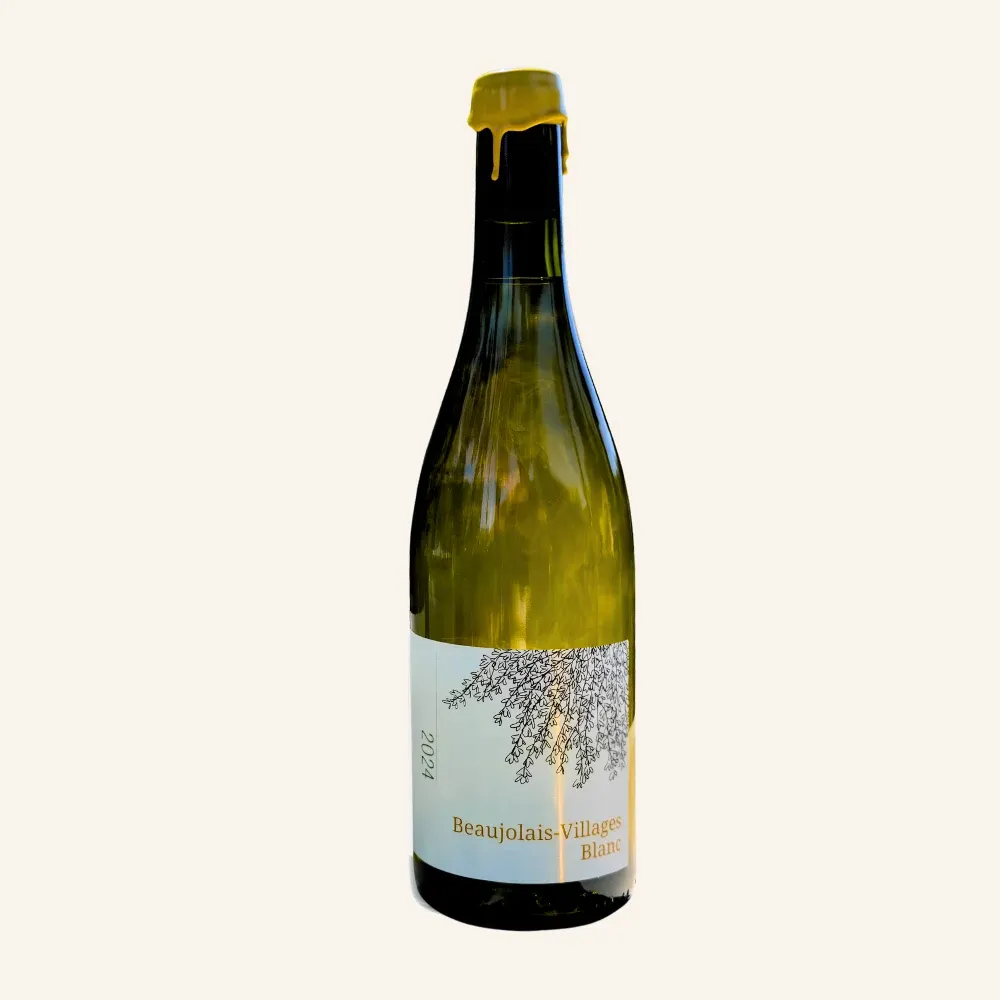 Beaujolais Villages Blanc 2024, Domaine Lachat