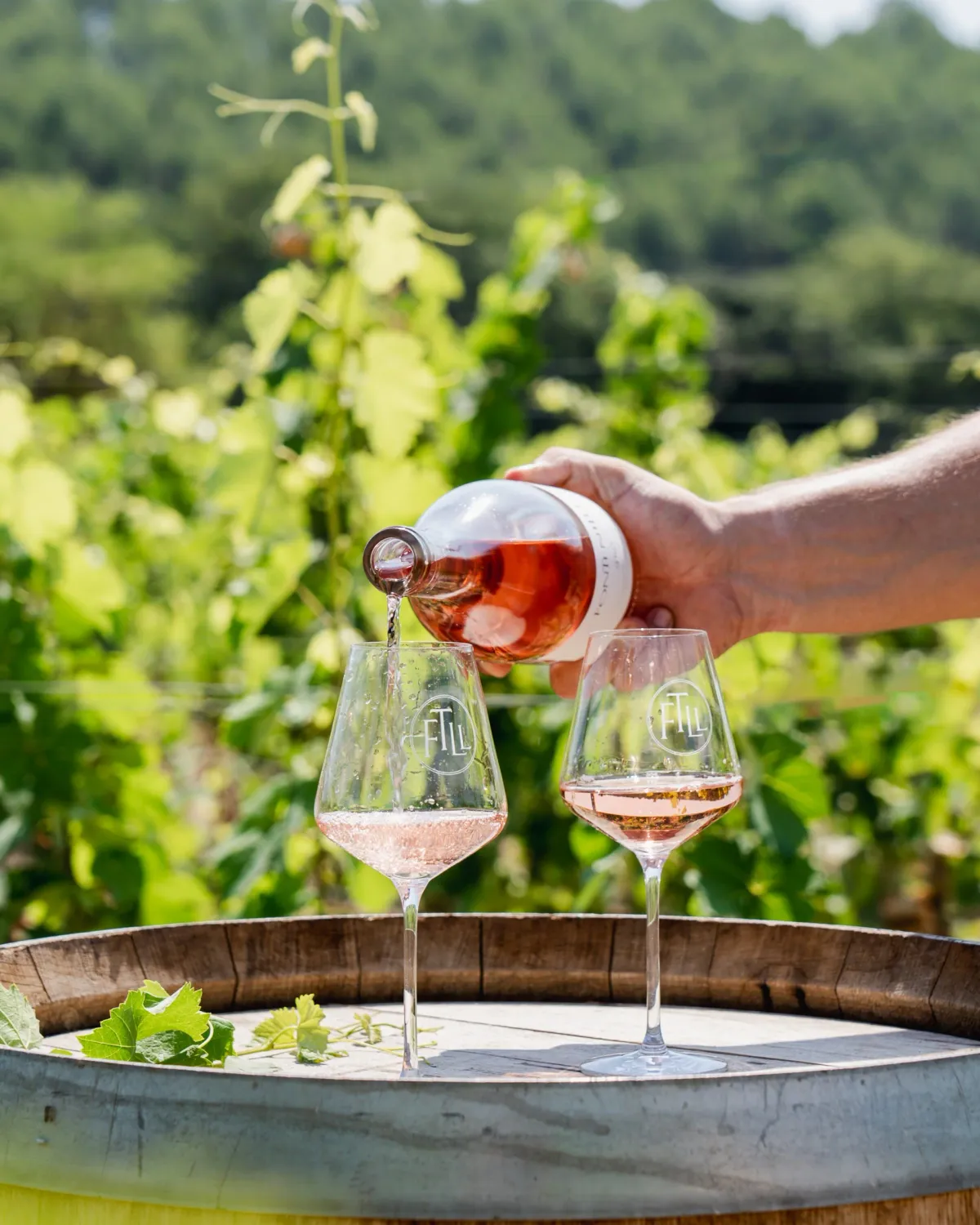 Fontenille Rosé 2025