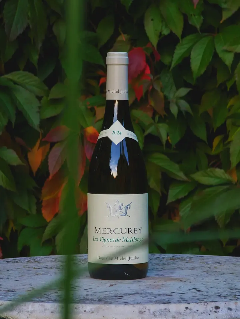 Mercurey Blanc, Les Vignes de Maillonge 2024, Domaine Michel Juillot