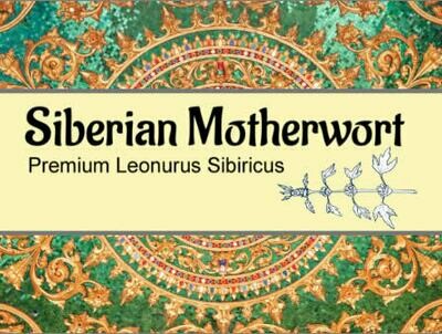 Siberian Motherwort