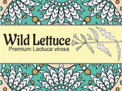 Wild Lettuce