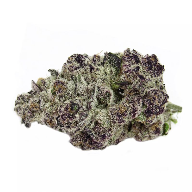 Gorilla Skunk