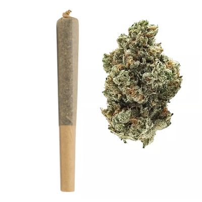 Pre Rolls