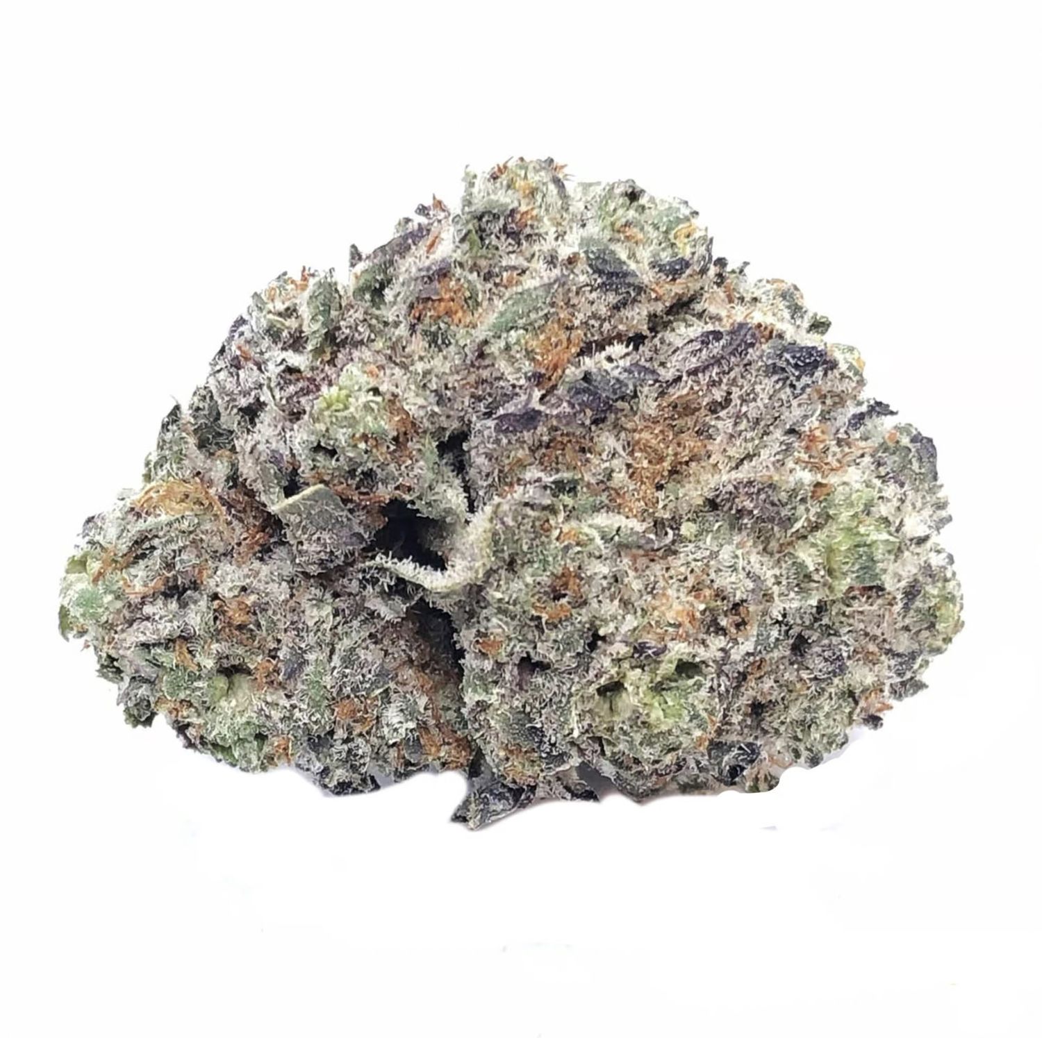 White Truffle