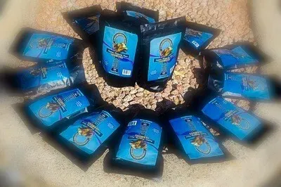 7.7 oz Gold - 12 Months