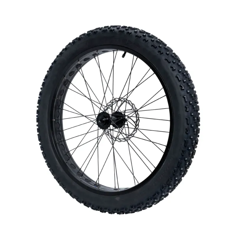 Lectric Xpeak Winter Package