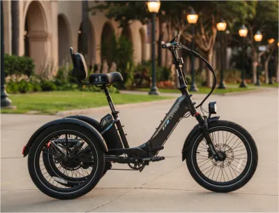 Lectric XP Trike