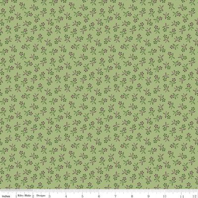 Autumn - Perennial Lettuce
