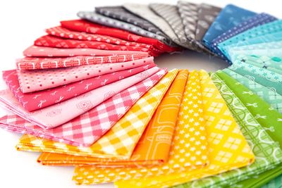 Bee Basics by Lori Holt