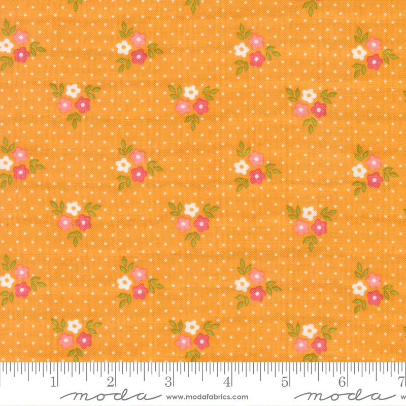 Strawberry Lemonade Bouquet Floral Dots Apricot