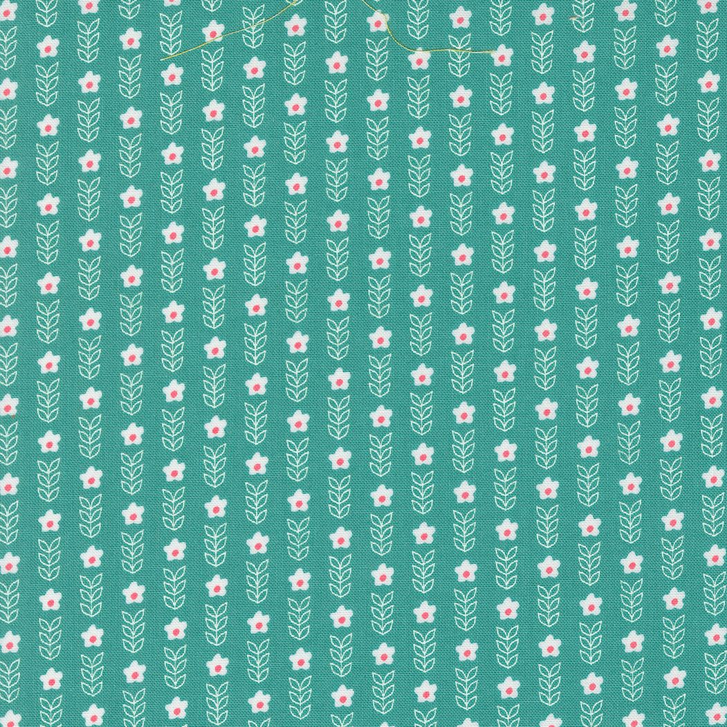 Strawberry Lemonade Carnation Blooms Teal