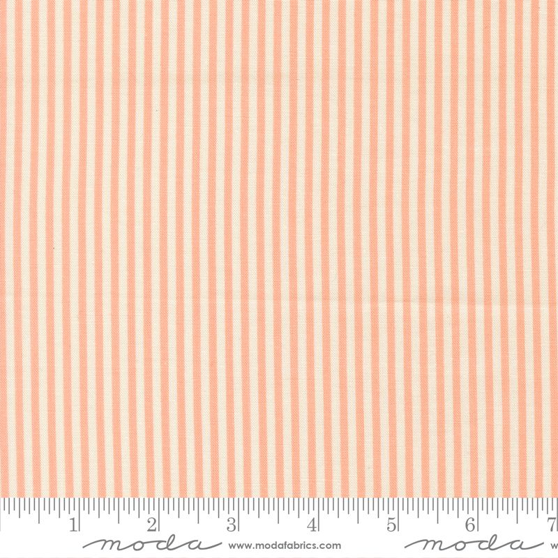 Pastel Prairie Stripes Jovial