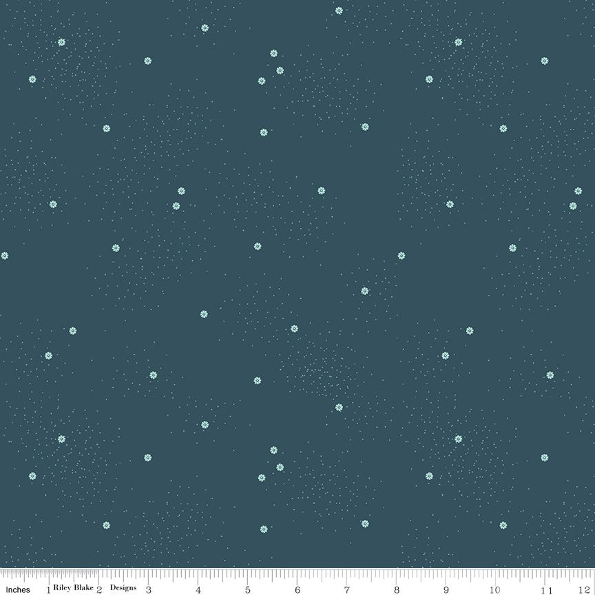 Dainty Daisy Stargazer