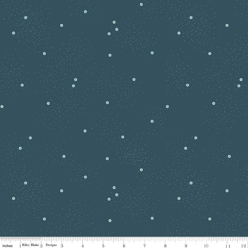 Dainty Daisy Stargazer