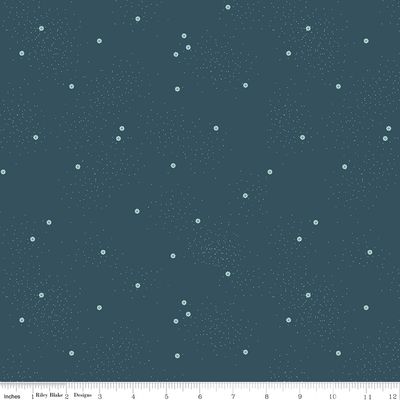 Dainty Daisy Stargazer