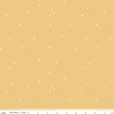 Dainty Daisy Color Honey