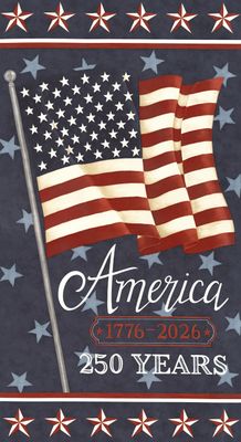America 250 Years Panel Blue
