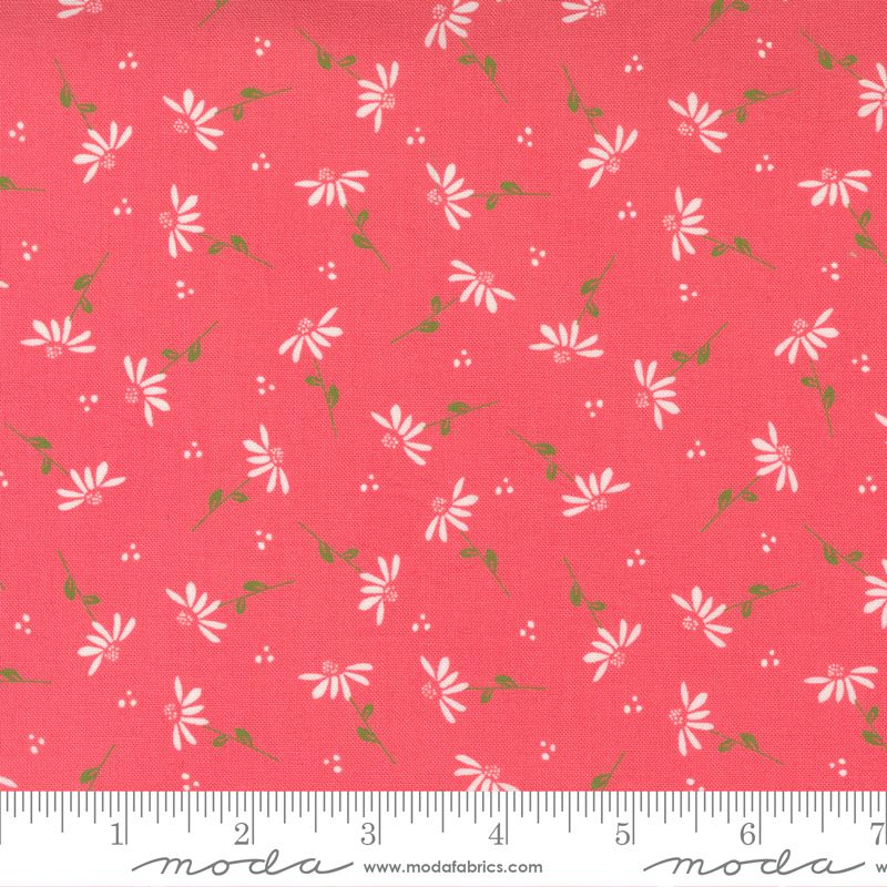Sincerely Yours Dainty Floral Daisy Flamingo