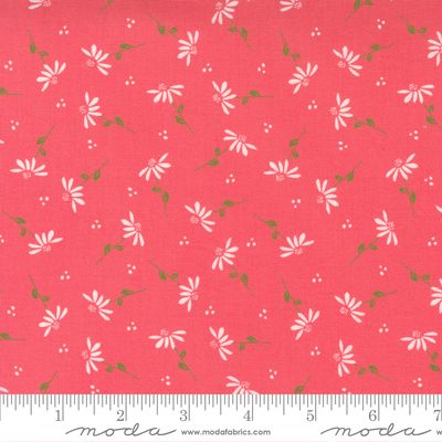 Sincerely Yours Dainty Floral Daisy Flamingo
