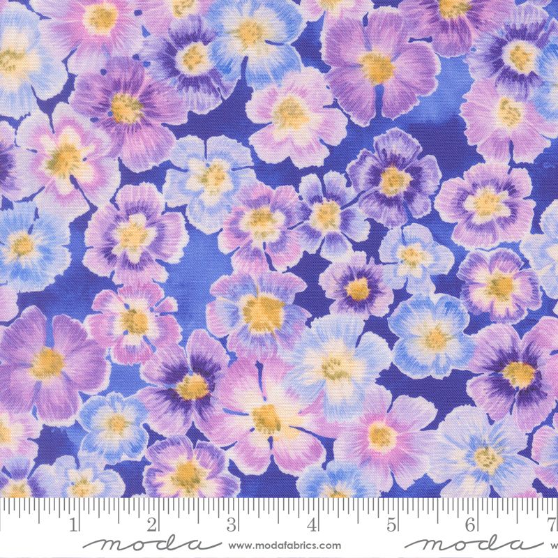 Delphinium Agapanthus Auricula Florals