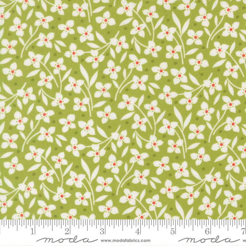 Summers End Forget Me Not Florals Clover