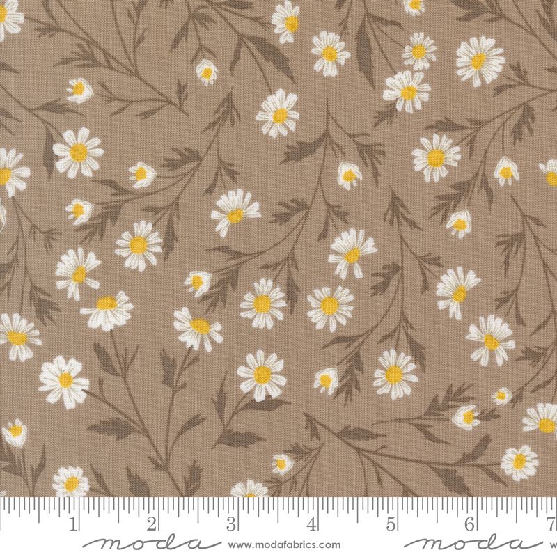 Sun Drenched Wild Daisy Chain Florals Stone Sun Drenched Wild Daisy Chain Florals Stone