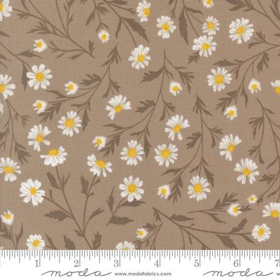 Sun Drenched Wild Daisy Chain Florals Stone Sun Drenched Wild Daisy Chain Florals Stone