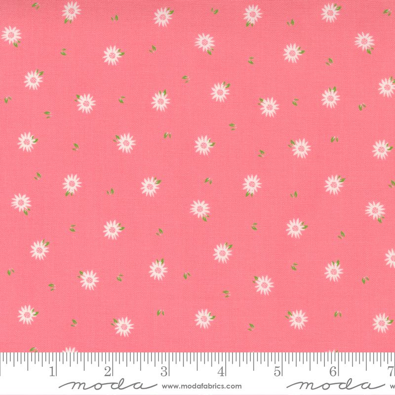 Sincerely Yours Chamomile Flamingo Sincerely Yours Chamomile Flamingo