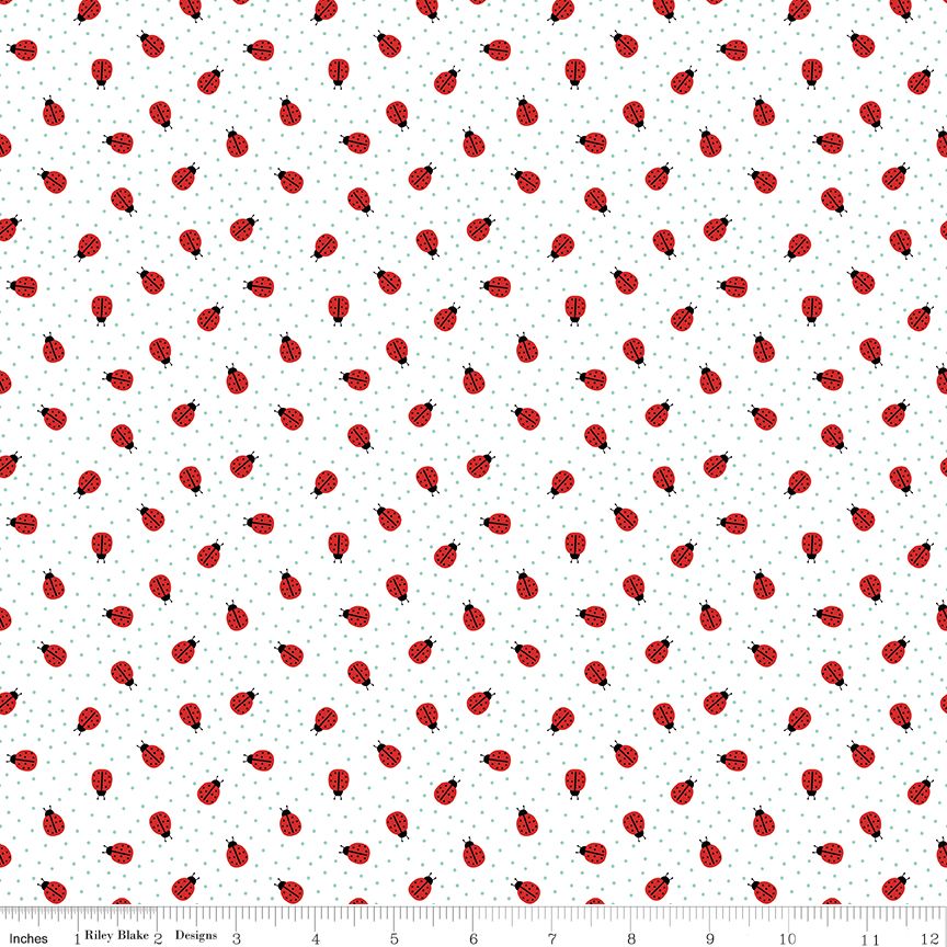 Little Ladybug Ladybugs White