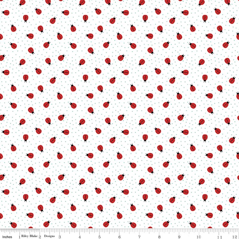 Little Ladybug Ladybugs White