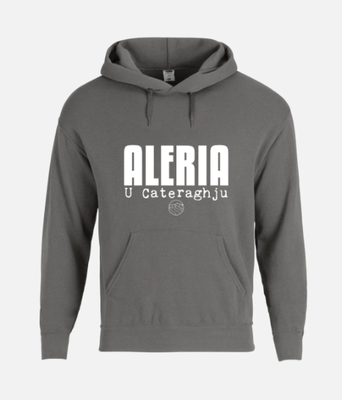 Sweat shirt capuche