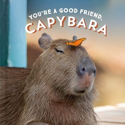 You&#39;re a Good Friend, Capybara