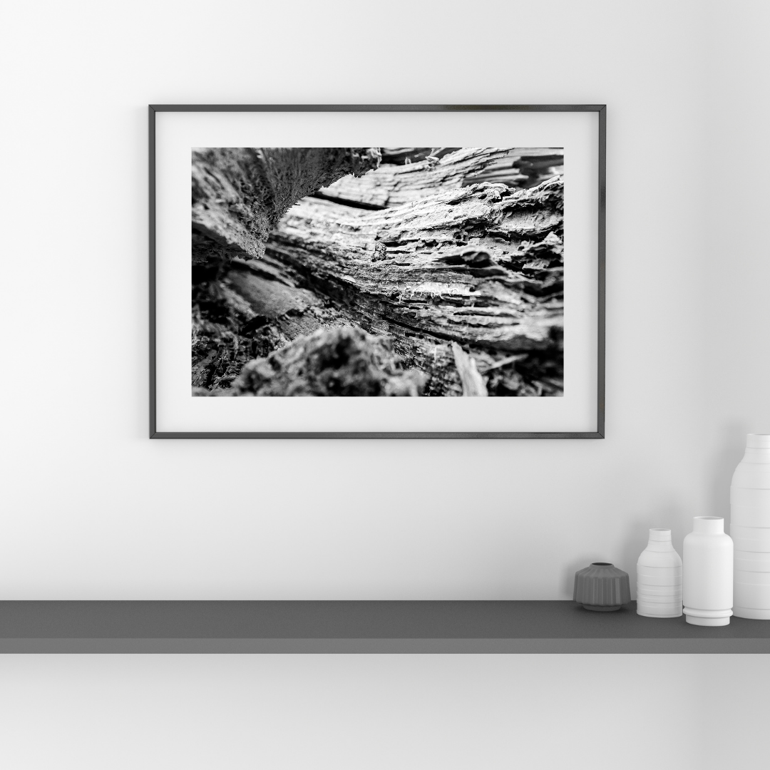 Forgængelighedens Struktur