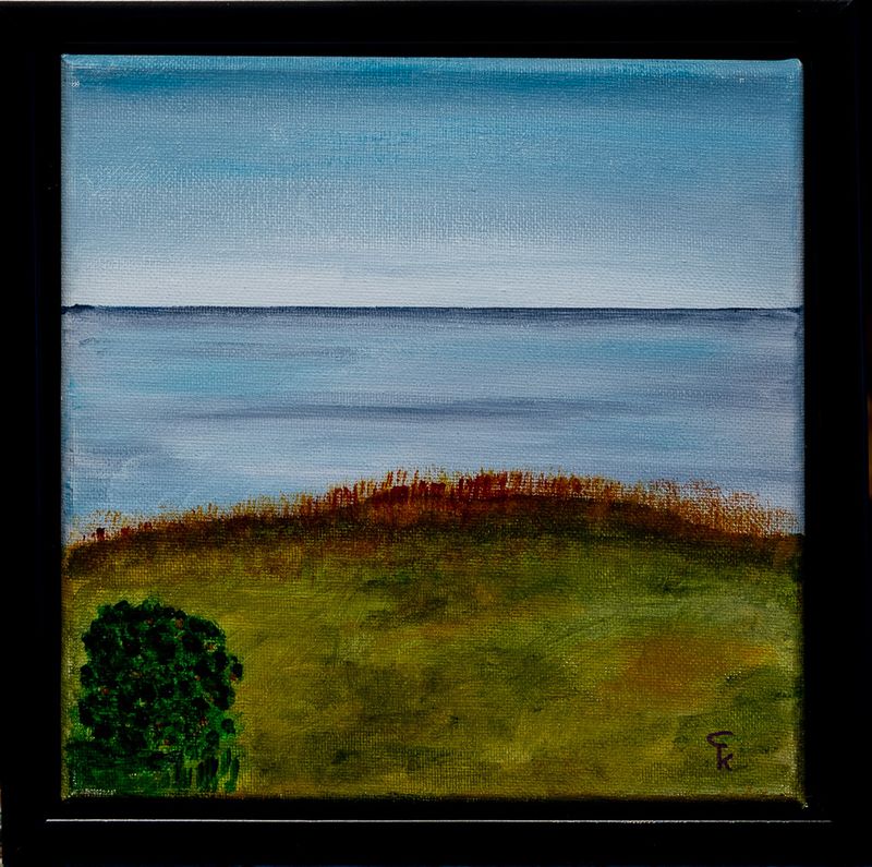 Strand med grøn busk