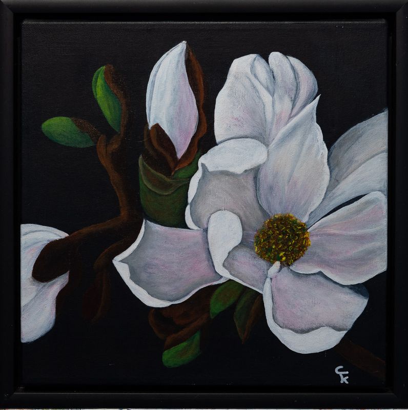 Blomst. Tulipan træ