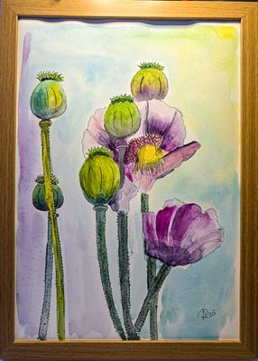 Maleri, Anne-Mette, Valmuer, Akvarel Maleri, Anne-Mette, Valmuer, Akvarel