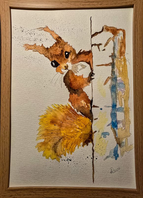 Maleri, Anne-Mette, Egern, Akvarel Maleri, Anne-Mette, Egern, Akvarel