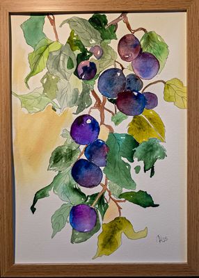 Maleri, Anne-Mette, “Blå Fristelser” – Akvarel af blommer på gren Maleri, Anne-Mette, “Blå Fristelser” – Akvarel af blommer på gren