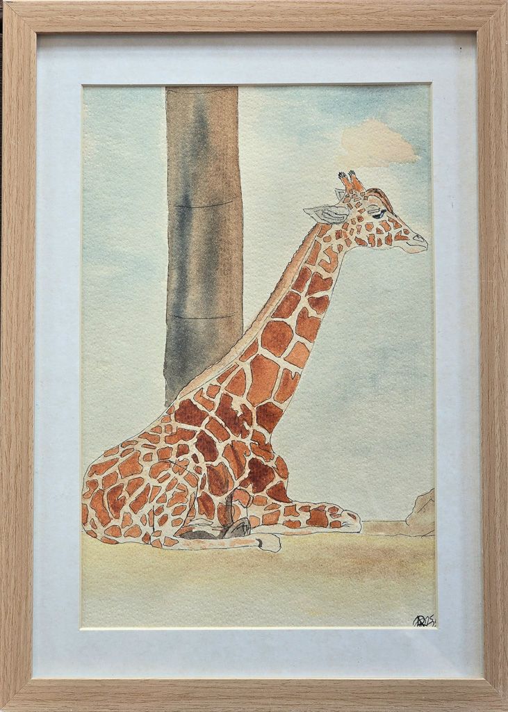 Maleri, Anne-Mette, Akvarel, Giraffens hvil Indrammet akvarel af en hvilende giraf med lange hals og brune aftegninger.