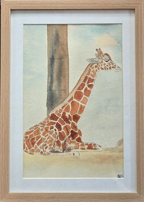 Maleri, Anne-Mette, Akvarel, Giraffens hvil Indrammet akvarel af en hvilende giraf med lange hals og brune aftegninger.