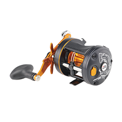 Reels
