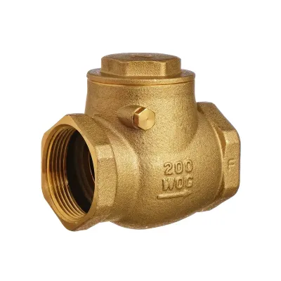 VALVULA CHECK HORIZONTAL BOSHART DE 1in